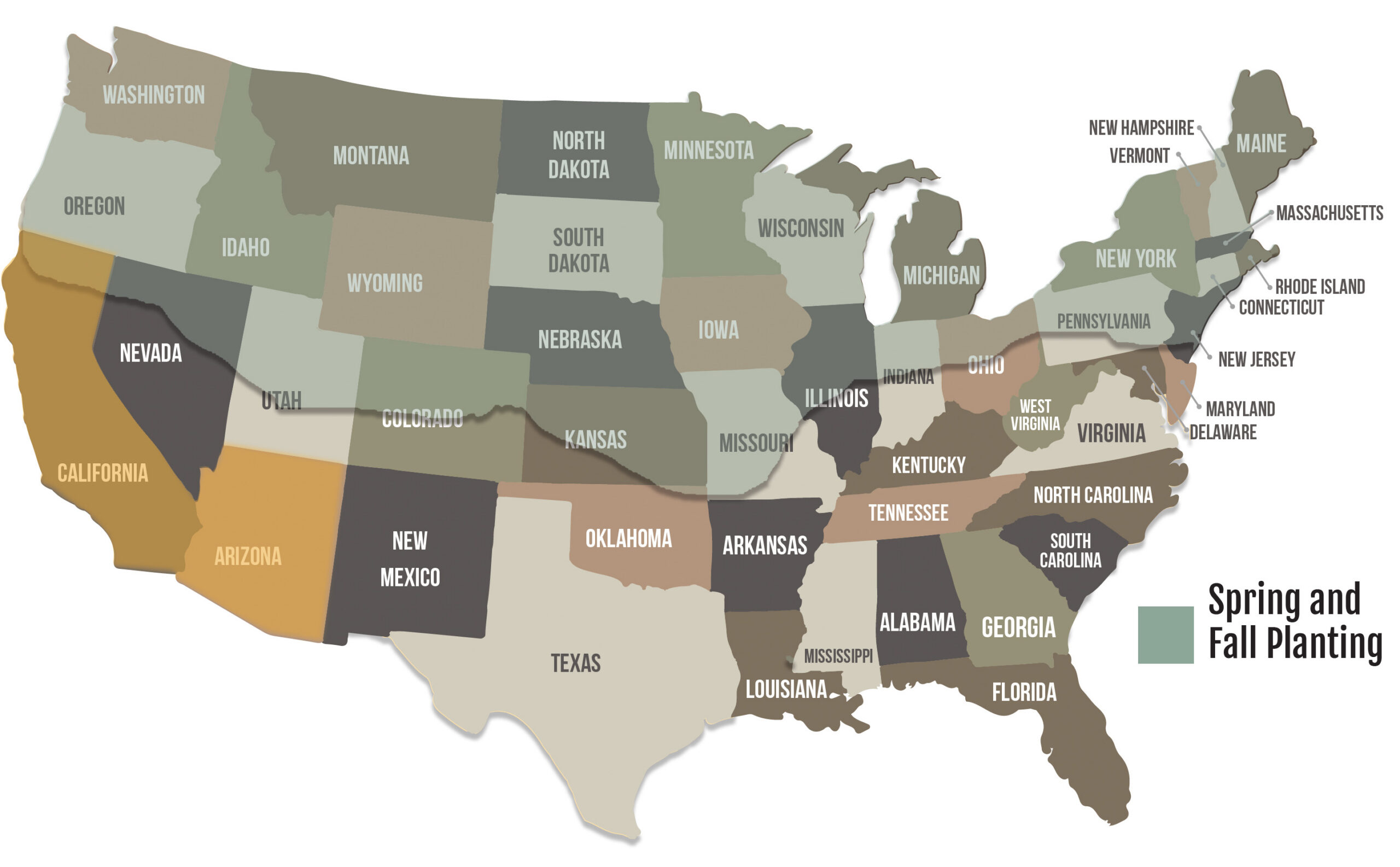 A US map of where Surge Triticale grows.