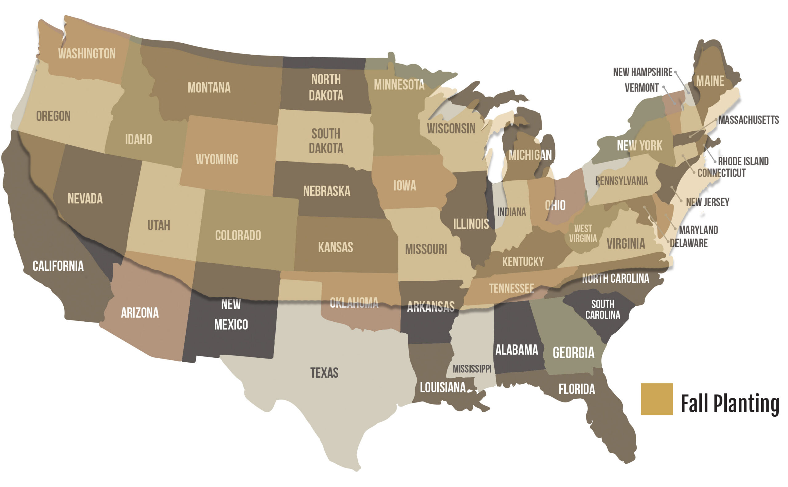Showtime Map