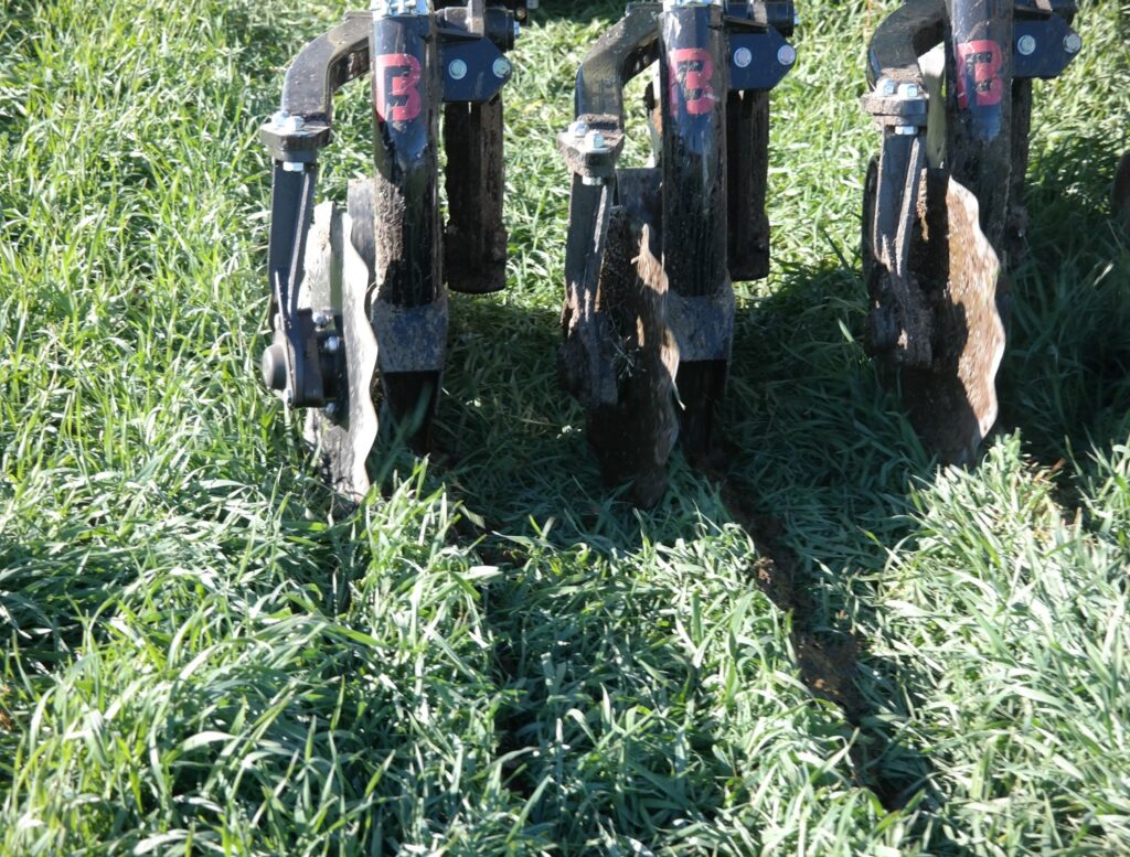 Rolling coulter manure injectors can fertilize established winter forage in the late fall, meeting all the nitrogen needs.