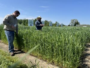 cedar-city-field-day