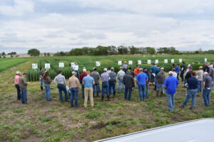 culver oregon Field Days