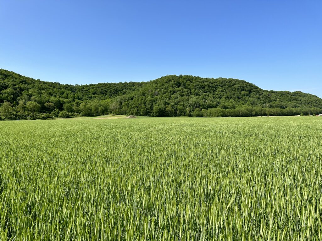 Gainer Wisconsin Biddick 2